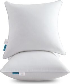 White Cotton Pillow Inserts Set of Two