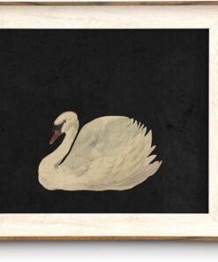 Framed Swan Wall Art for Living Room Decor