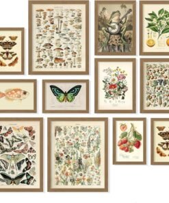 Cottagecore Botanical Wall Art Set, 12 Prints